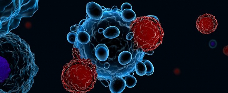 Cum ajuta imunoterapia in anumite forme de cancer